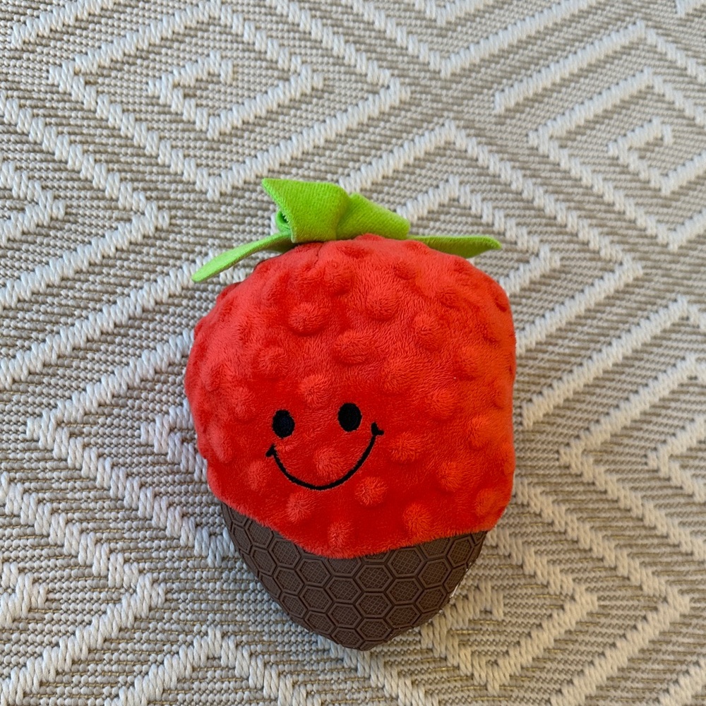 Strawberry Plush Dog Toy with Chew Guard